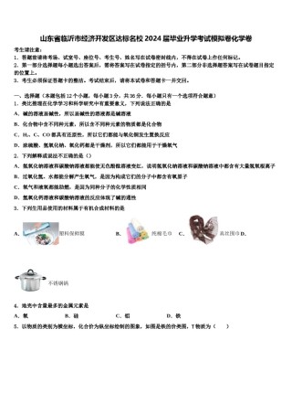 山东省临沂市经济开发区达标名校2024届毕业升学考试模拟卷化学卷含解析.doc