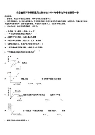 山东省临沂市费县重点达标名校2024年中考化学考前最后一卷含解析.doc