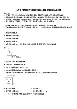 山东省兰陵县重点达标名校2024年中考冲刺卷化学试题含解析.doc