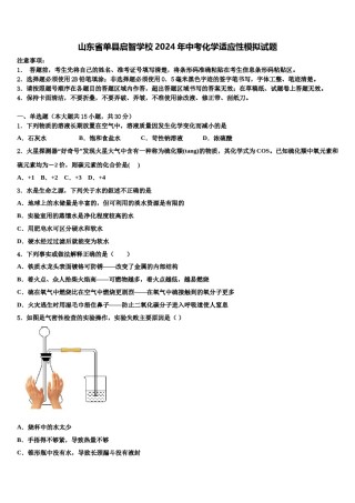 山东省单县启智学校2024年中考化学适应性模拟试题含解析.doc