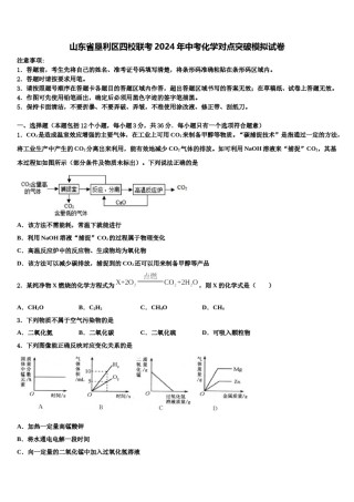 山东省垦利区四校联考2024年中考化学对点突破模拟试卷含解析.doc