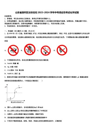 山东省垦利区达标名校2023-2024学年中考适应性考试化学试题含解析.doc