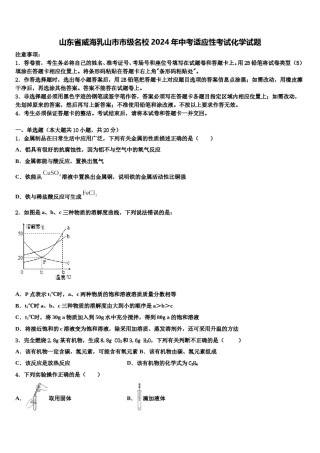 山东省威海乳山市市级名校2024年中考适应性考试化学试题含解析.doc