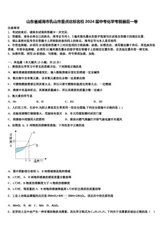 山东省威海市乳山市重点达标名校2024届中考化学考前最后一卷含解析.doc