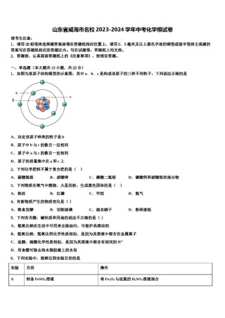 山东省威海市名校2023-2024学年中考化学模试卷含解析.doc