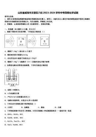 山东省威海市文登区八校2023-2024学年中考四模化学试题含解析.doc