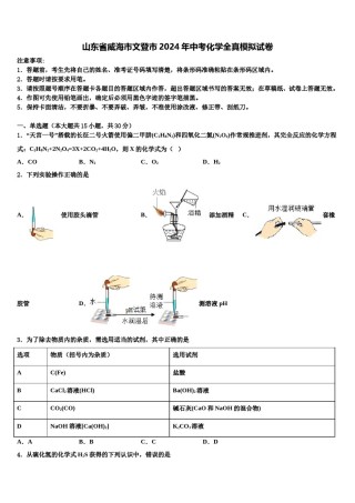 山东省威海市文登市2024年中考化学全真模拟试卷含解析.doc