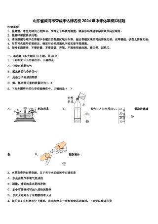 山东省威海市荣成市达标名校2024年中考化学模拟试题含解析.doc