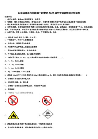 山东省威海市荣成第十四中学2024届中考试题猜想化学试卷含解析.doc