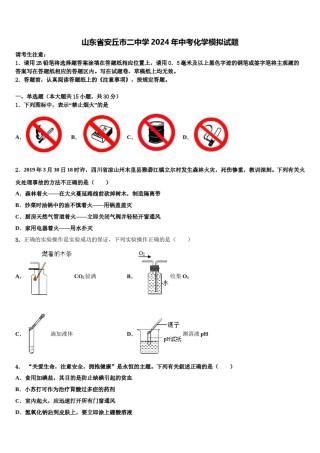 山东省安丘市二中学2024年中考化学模拟试题含解析.doc