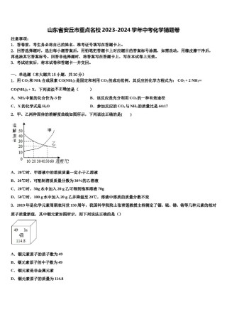山东省安丘市重点名校2023-2024学年中考化学猜题卷含解析.doc