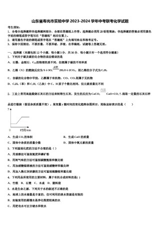 山东省寿光市实验中学2023-2024学年中考联考化学试题含解析.doc