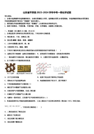 山东省平原县2023-2024学年中考一模化学试题含解析.doc