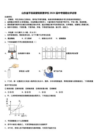 山东省平邑县蒙阳新星学校2024届中考猜题化学试卷含解析.doc