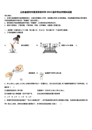 山东省德州市夏津实验中学2024届中考化学模拟试题含解析.doc