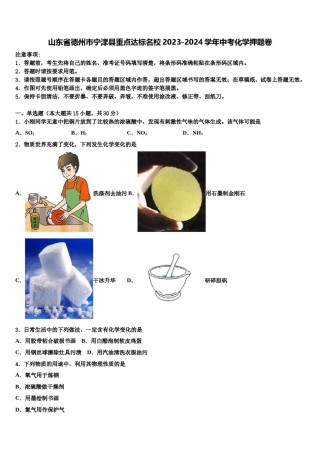 山东省德州市宁津县重点达标名校2023-2024学年中考化学押题卷含解析.doc