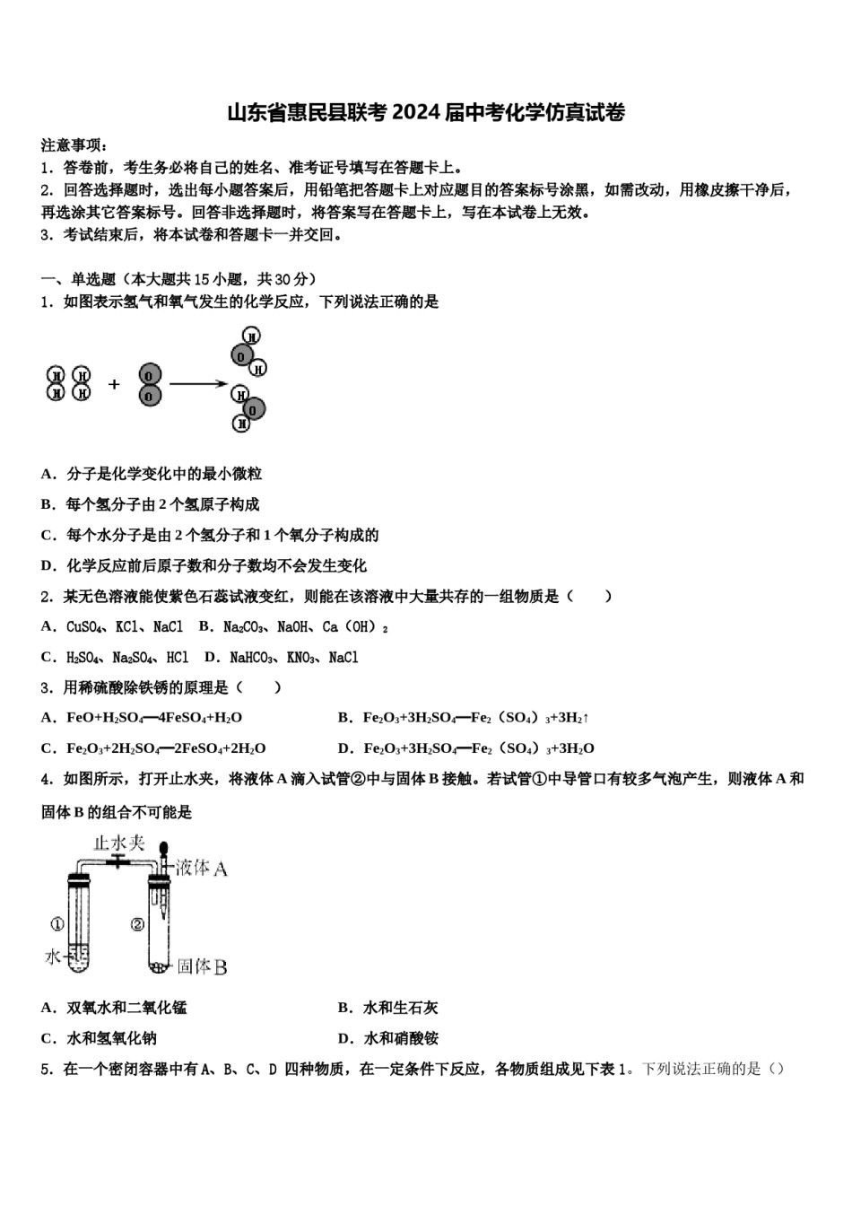 山东省惠民县联考2024届中考化学仿真试卷含解析.doc_第1页