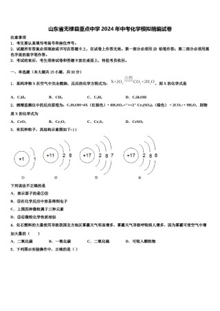 山东省无棣县重点中学2024年中考化学模拟精编试卷含解析.doc