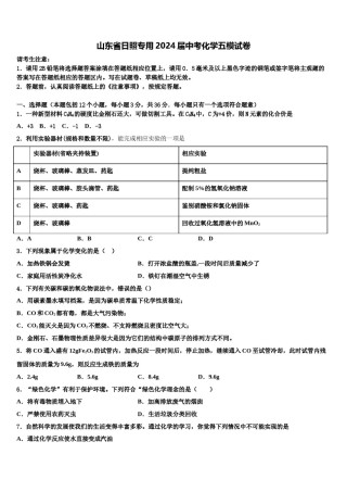 山东省日照专用2024届中考化学五模试卷含解析.doc