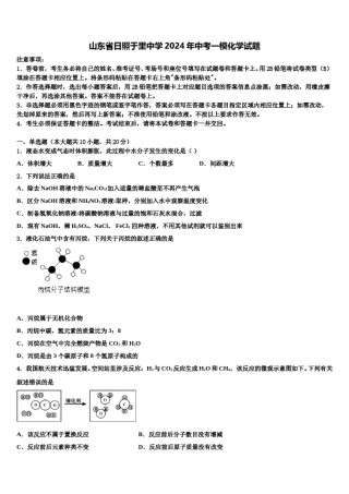 山东省日照于里中学2024年中考一模化学试题含解析.doc