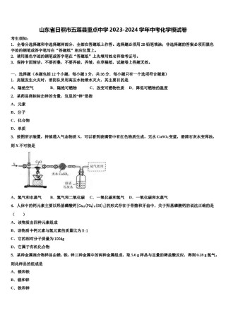 山东省日照市五莲县重点中学2023-2024学年中考化学模试卷含解析.doc