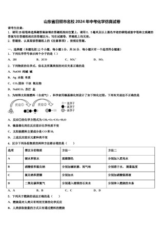 山东省日照市名校2024年中考化学仿真试卷含解析.doc