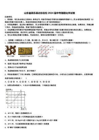 山东省昌乐县达标名校2024届中考猜题化学试卷含解析.doc