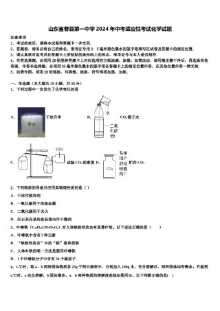 山东省曹县第一中学2024年中考适应性考试化学试题含解析.doc