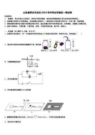 山东省枣庄市名校2024年中考化学最后一模试卷含解析.doc