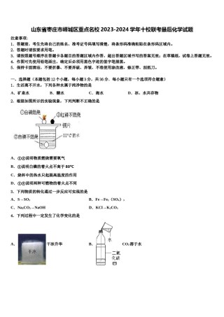 山东省枣庄市峄城区重点名校2023-2024学年十校联考最后化学试题含解析.doc