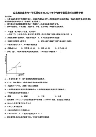 山东省枣庄市市中学区重点名校2024年中考化学最后冲刺浓缩精华卷含解析.doc