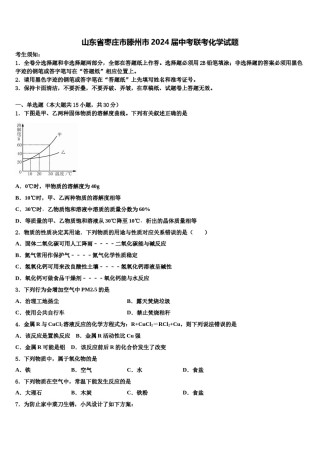 山东省枣庄市滕州市2024届中考联考化学试题含解析.doc