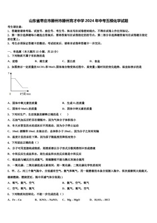 山东省枣庄市滕州市滕州育才中学2024年中考五模化学试题含解析.doc