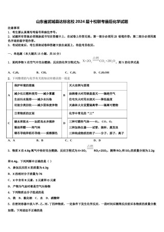 山东省武城县达标名校2024届十校联考最后化学试题含解析.doc
