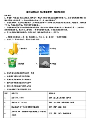 山东省泰安市2024年中考一模化学试题含解析.doc