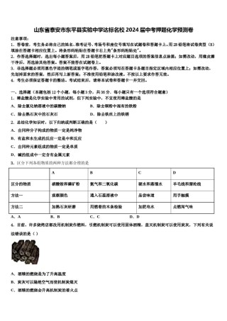 山东省泰安市东平县实验中学达标名校2024届中考押题化学预测卷含解析.doc