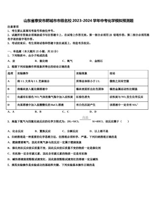 山东省泰安市肥城市市级名校2023-2024学年中考化学模拟预测题含解析.doc