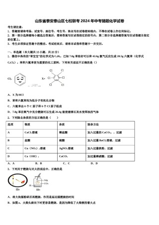 山东省泰安泰山区七校联考2024年中考猜题化学试卷含解析.doc