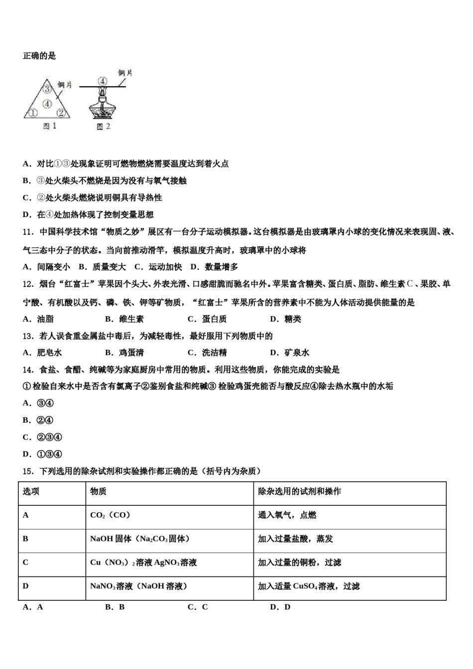 山东省济南市历城区重点名校2023-2024学年中考试题猜想化学试卷含解析.doc_第3页