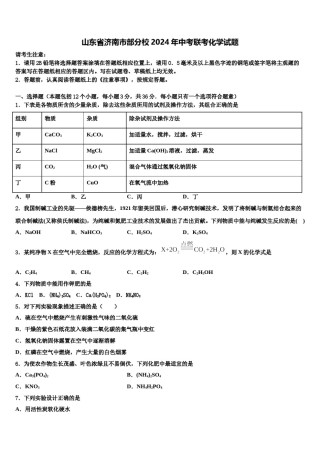 山东省济南市部分校2024年中考联考化学试题含解析.doc