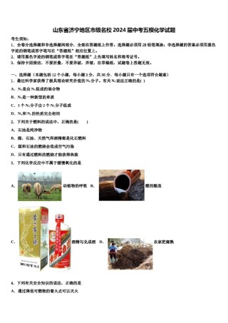 山东省济宁地区市级名校2024届中考五模化学试题含解析.doc