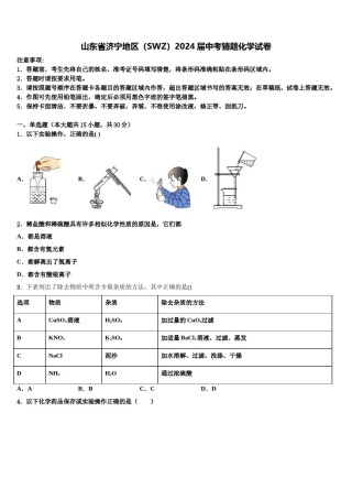 山东省济宁地区（SWZ）2024届中考猜题化学试卷含解析.doc