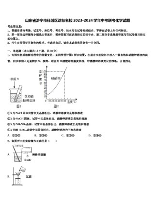 山东省济宁市任城区达标名校2023-2024学年中考联考化学试题含解析.doc