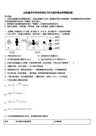 山东省济宁市市中学区2024届中考化学押题试卷含解析.doc