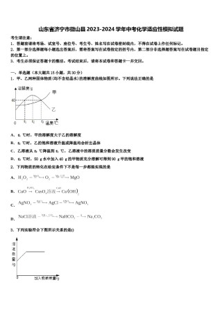 山东省济宁市微山县2023-2024学年中考化学适应性模拟试题含解析.doc