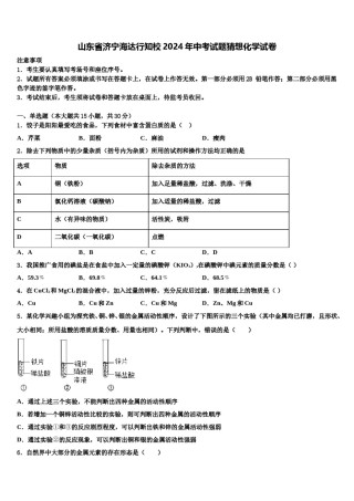 山东省济宁海达行知校2024年中考试题猜想化学试卷含解析.doc