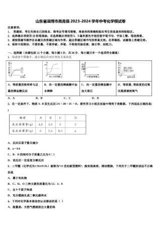 山东省淄博市高青县2023-2024学年中考化学模试卷含解析.doc