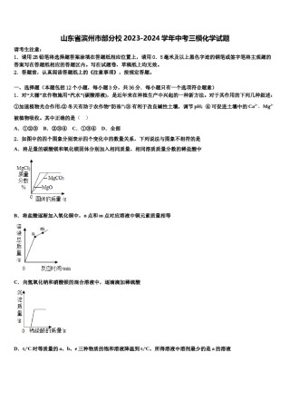 山东省滨州市部分校2023-2024学年中考三模化学试题含解析.doc
