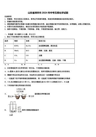 山东省潍坊市2024年中考五模化学试题含解析.doc