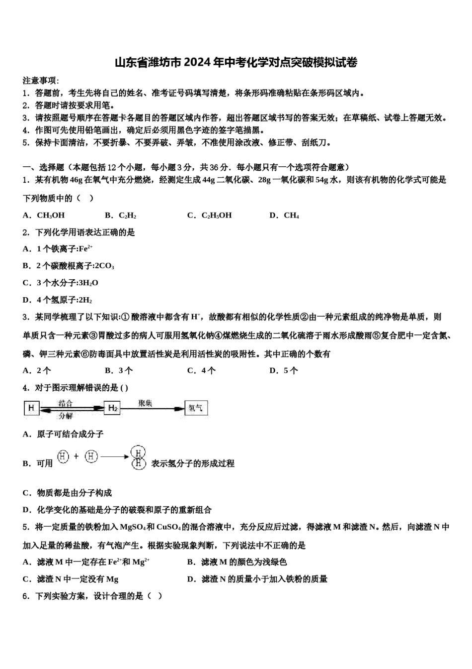 山东省潍坊市2024年中考化学对点突破模拟试卷含解析.doc_第1页